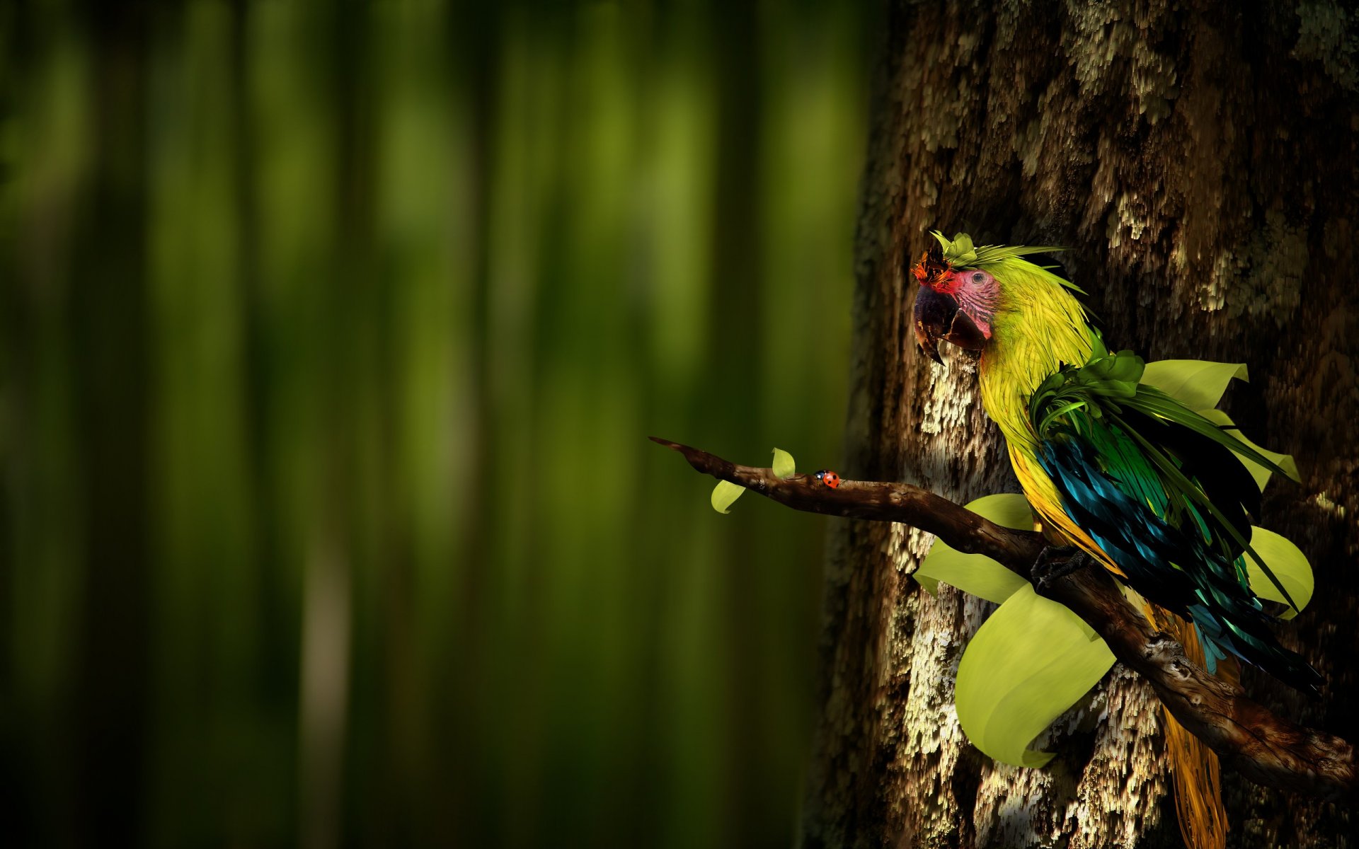 loro rama escarabajo