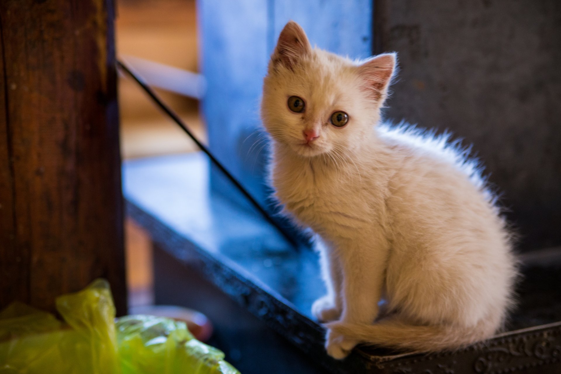 bambino sguardo occhi