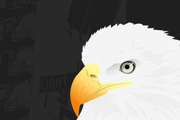 Sketch of a white eagle on a black background