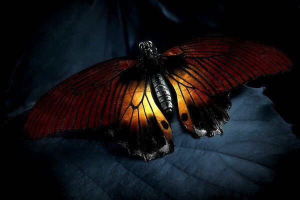 A butterfly with a glow in its wings sits on a leaf