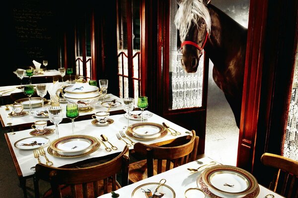 Photos of a restaurant and a horse