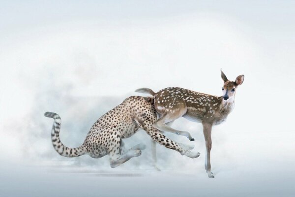 Hirsch und Leopard Hirschjagd