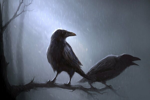 Drawing of crows on a branch in the rain