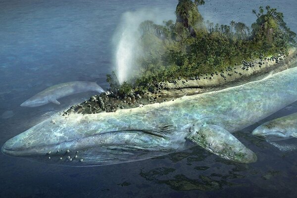 Isla flotante y ballenas