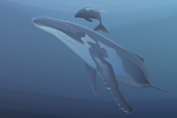 A whale and a baby whale in the depths of the ocean