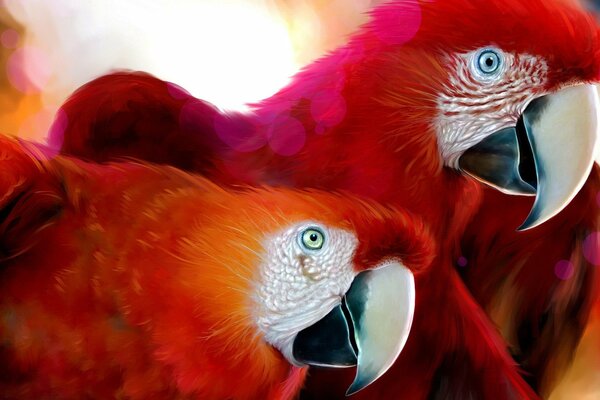 Two red parrots together