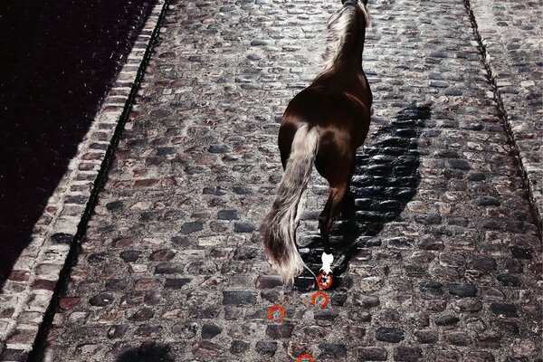 A horse walking on a cobblestone road