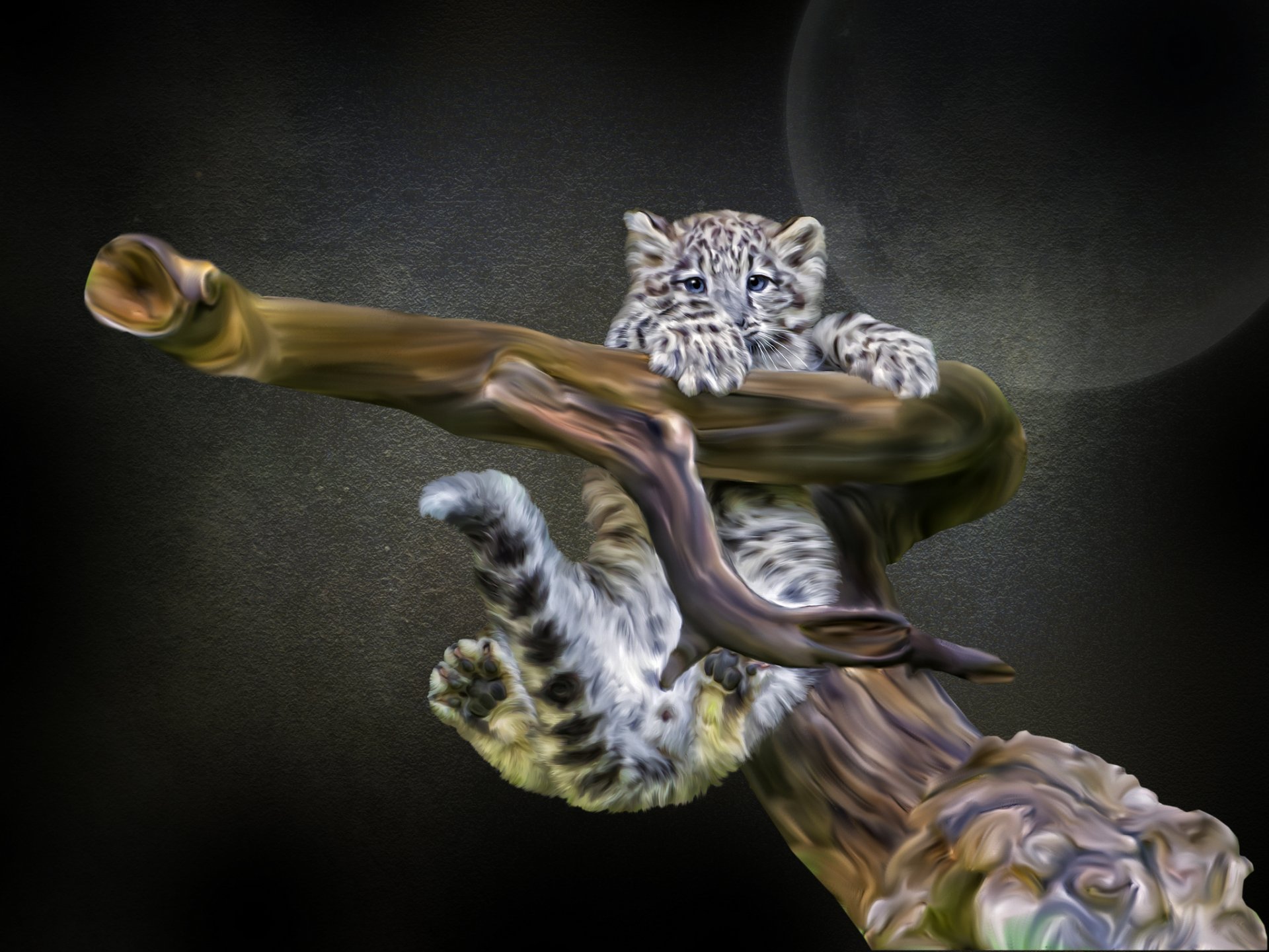 now leopard snow leopard snag photoshop