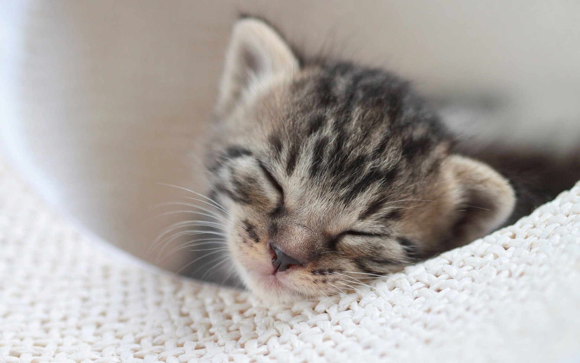 bebé durmiendo sueño