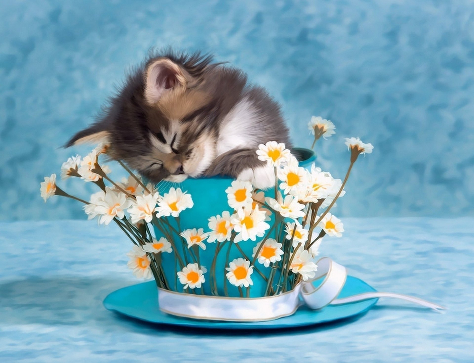 chaton tasse fleurs photo