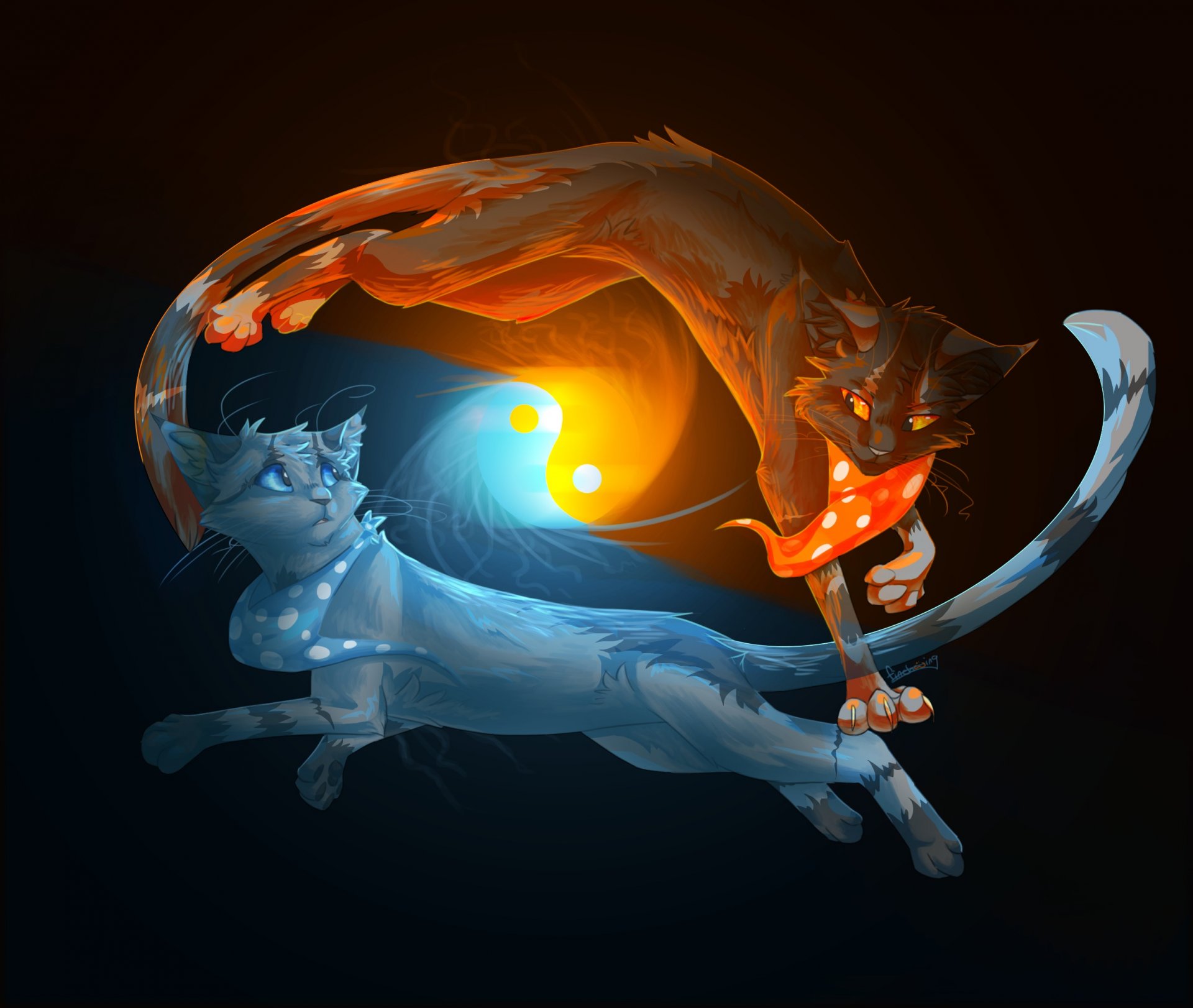 animals cats yin-yang fire water black background