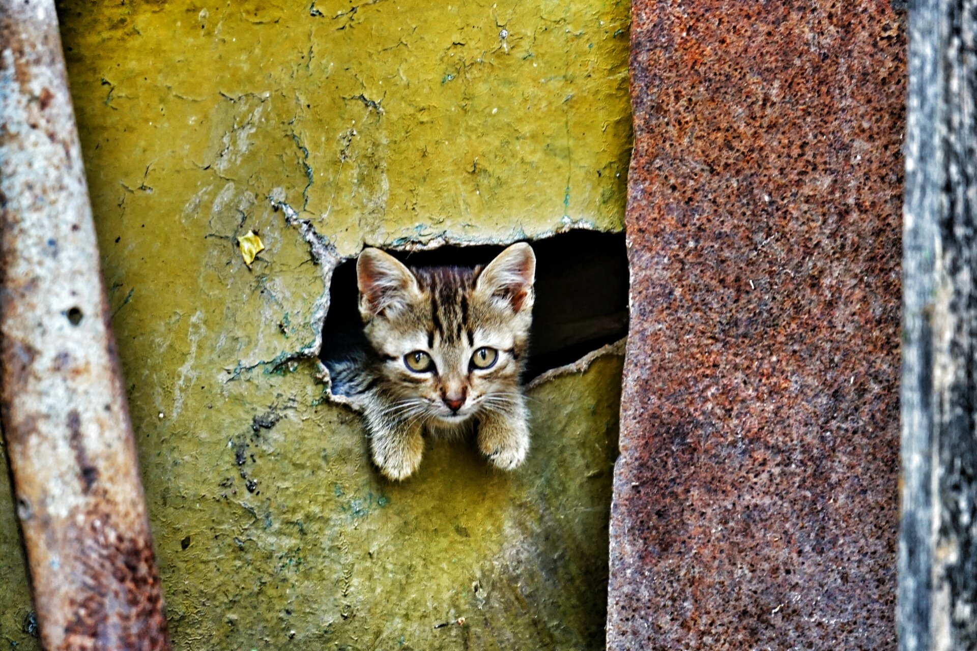 bébé regard yeux