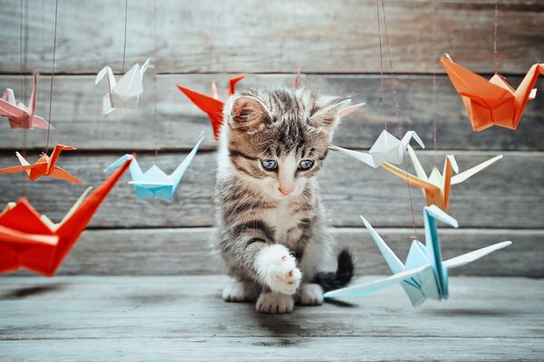 Lindo gatito jugando con pájaros de papel