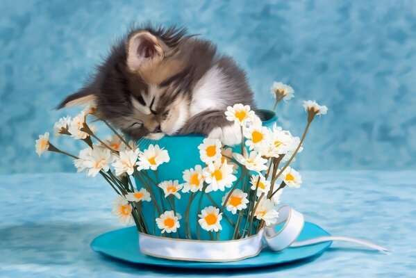 Photo of a cute kitten in flowers