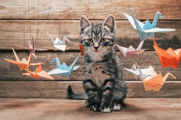 Chaton parmi les grues en papier volantes