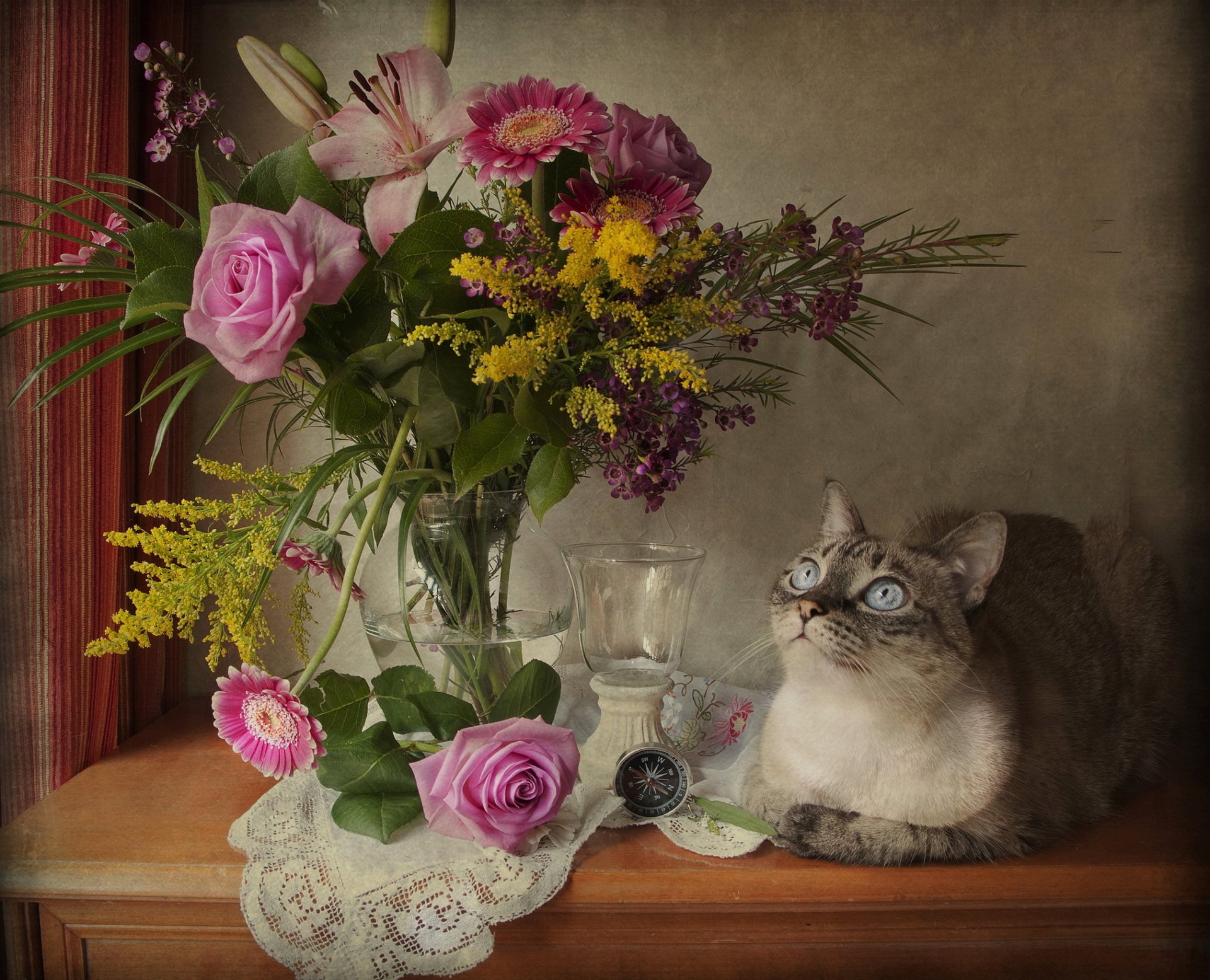 cat bouquet rose flower view