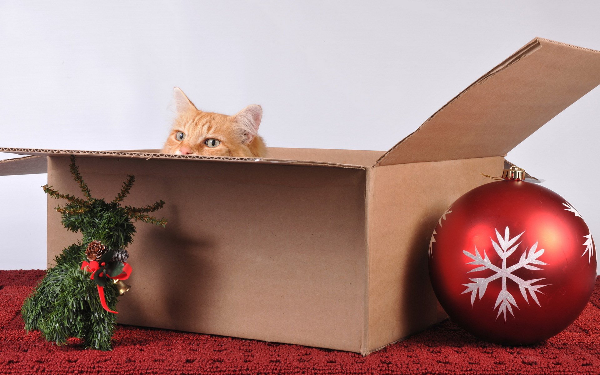 cat box toys holiday