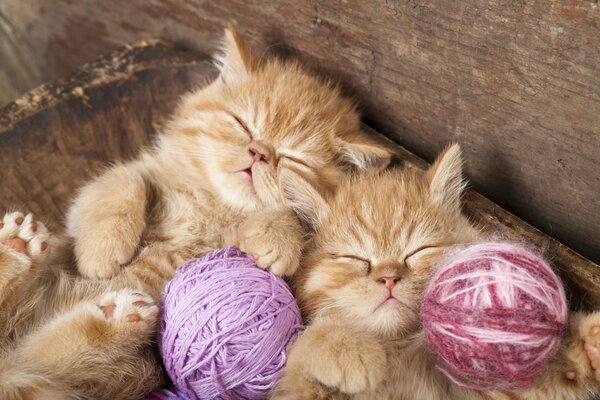 Два пушистых рыжих котенка сладко дремлят с яркими клубками шерсти