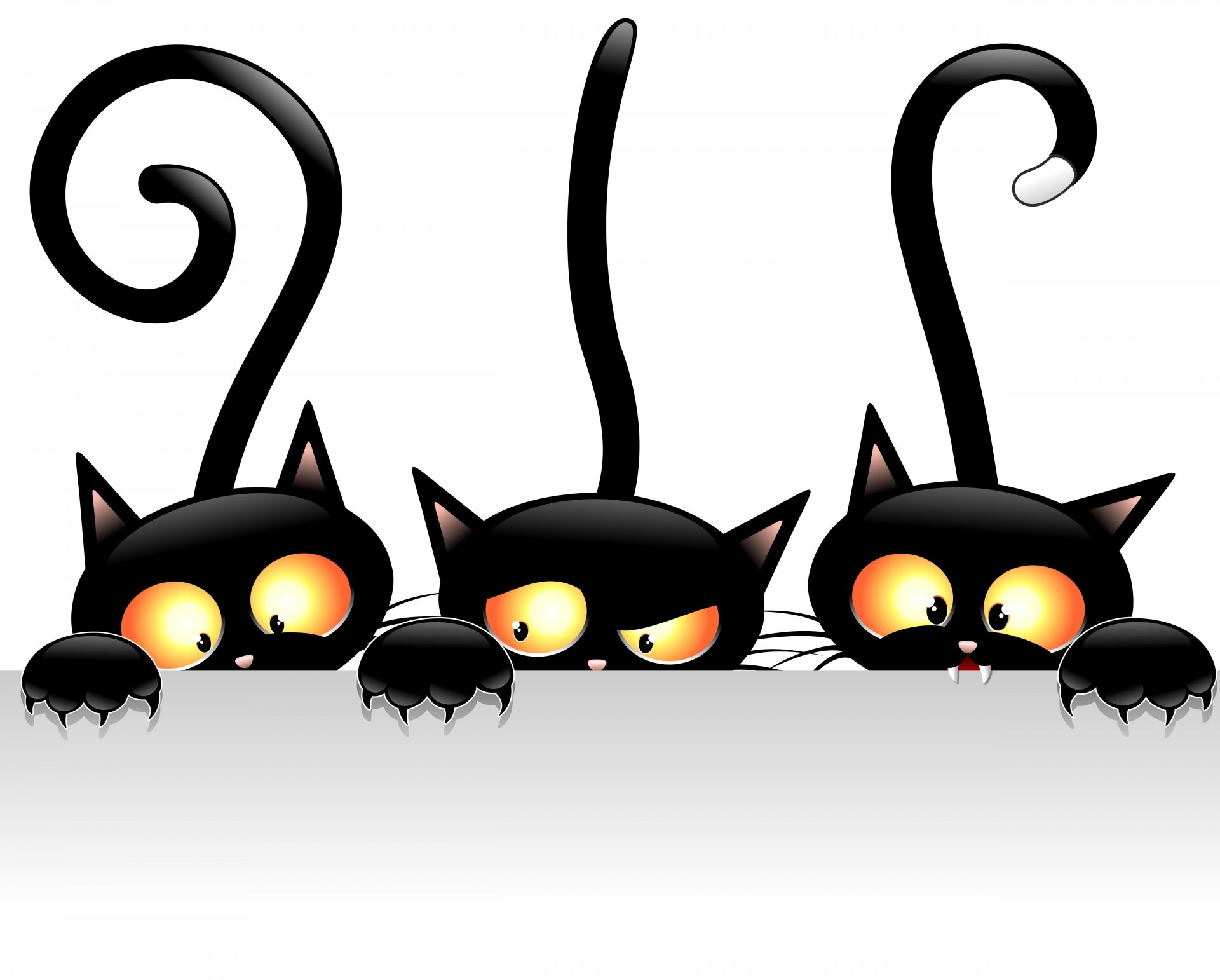 cats black views tails vector