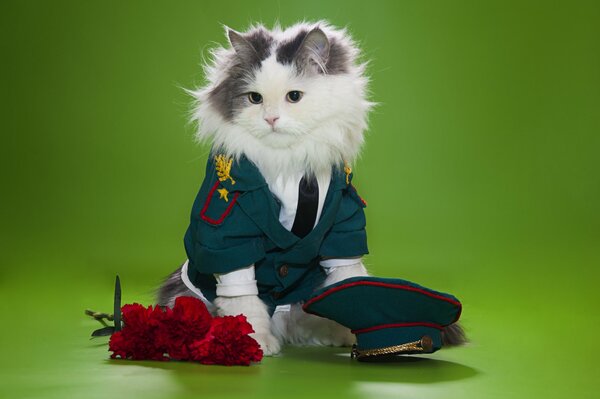 The gentleman cat took off his cap and with flowers