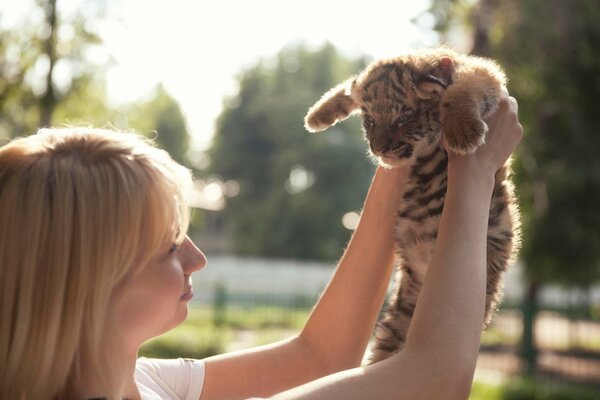 The girl lifts the tiger cub in her arms