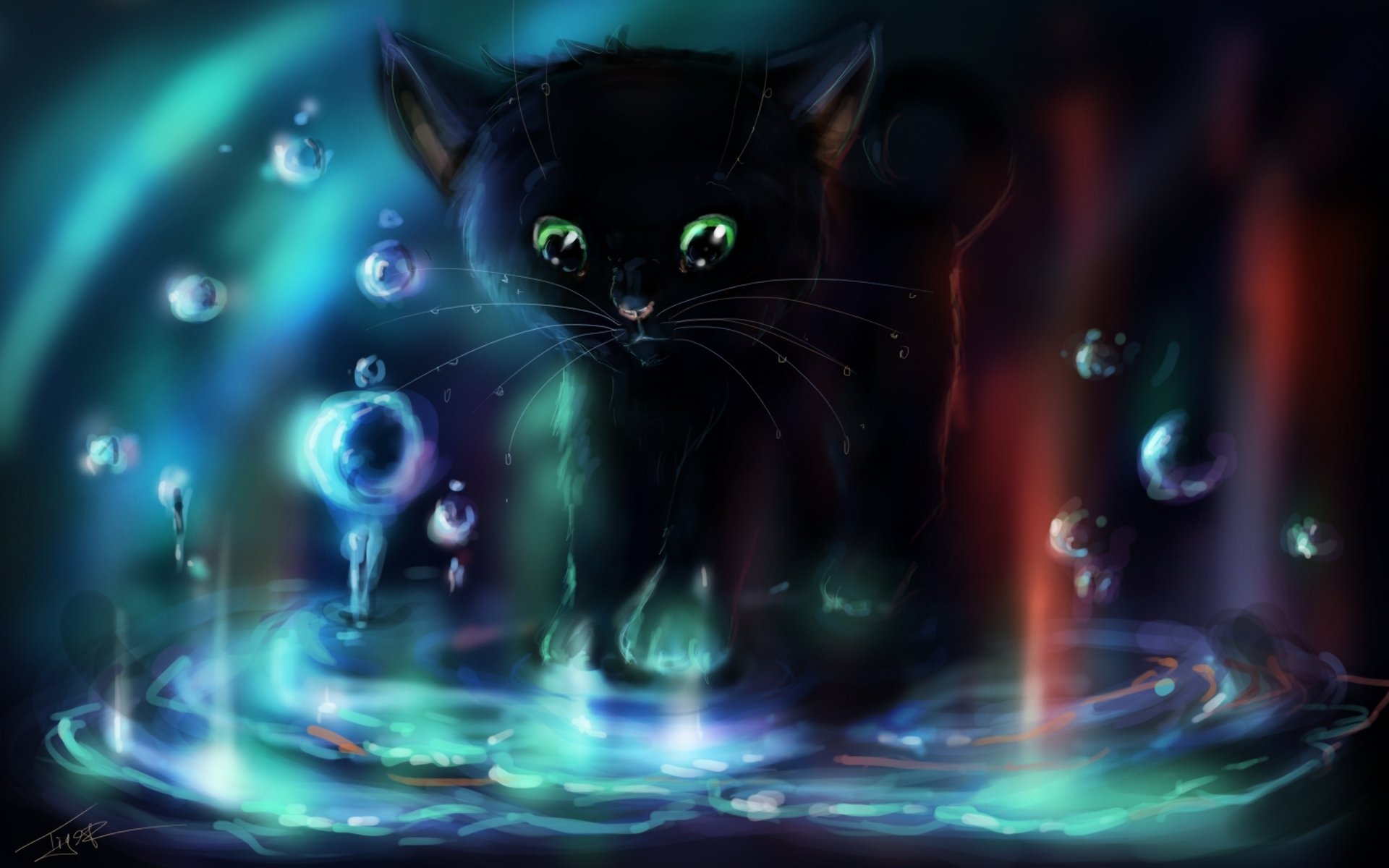 chaton eau bulles