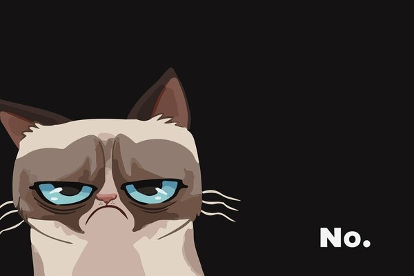 Angry grumpy cat