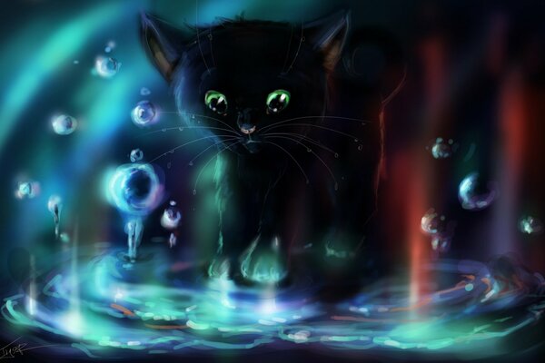 Image avec un chaton noir jouant avec de l eau