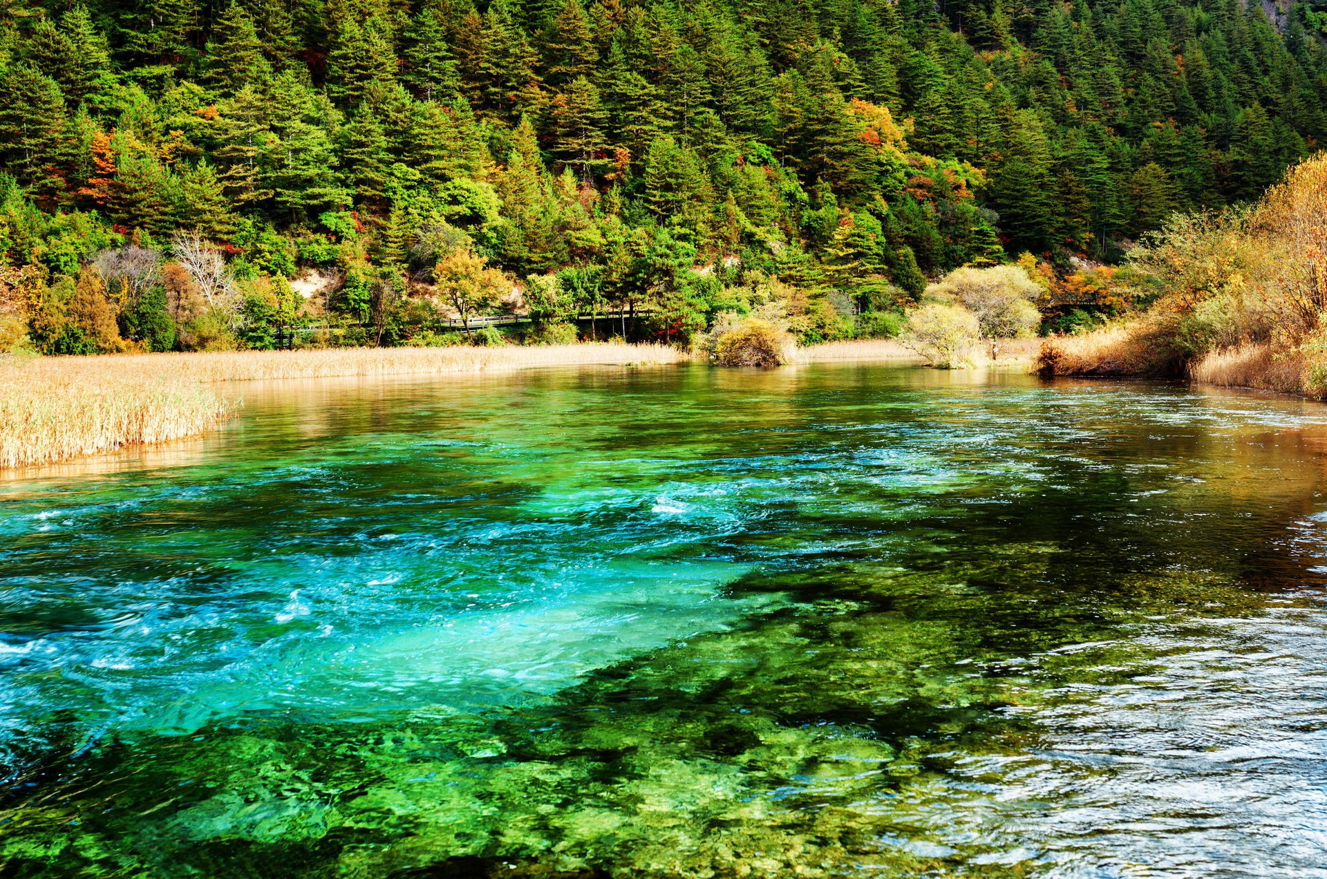 jiuzhaigou national park china fluss park wald natur