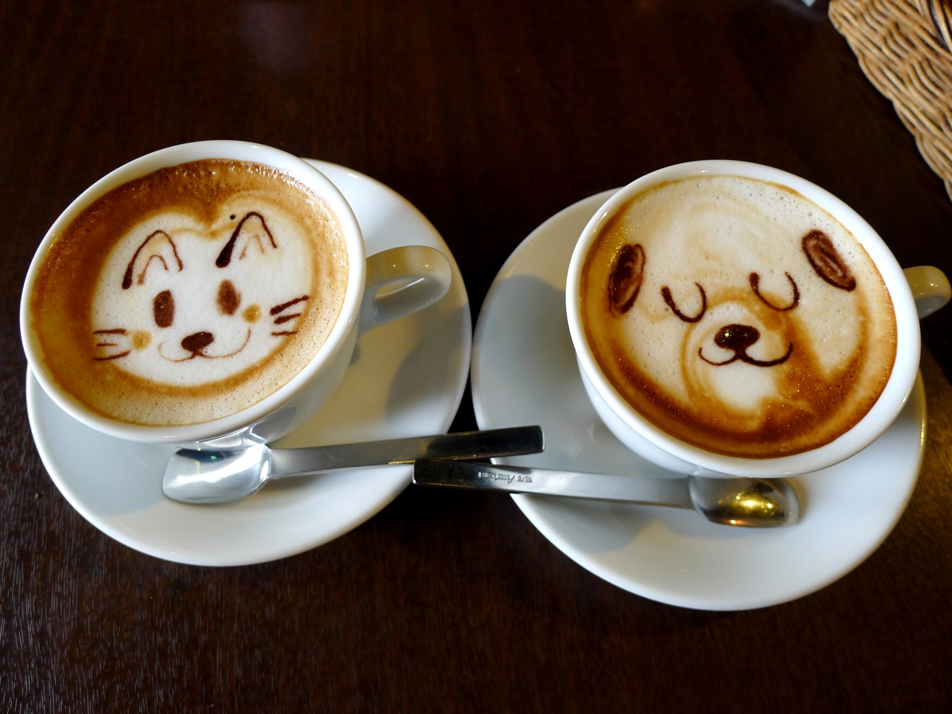 café perro comida