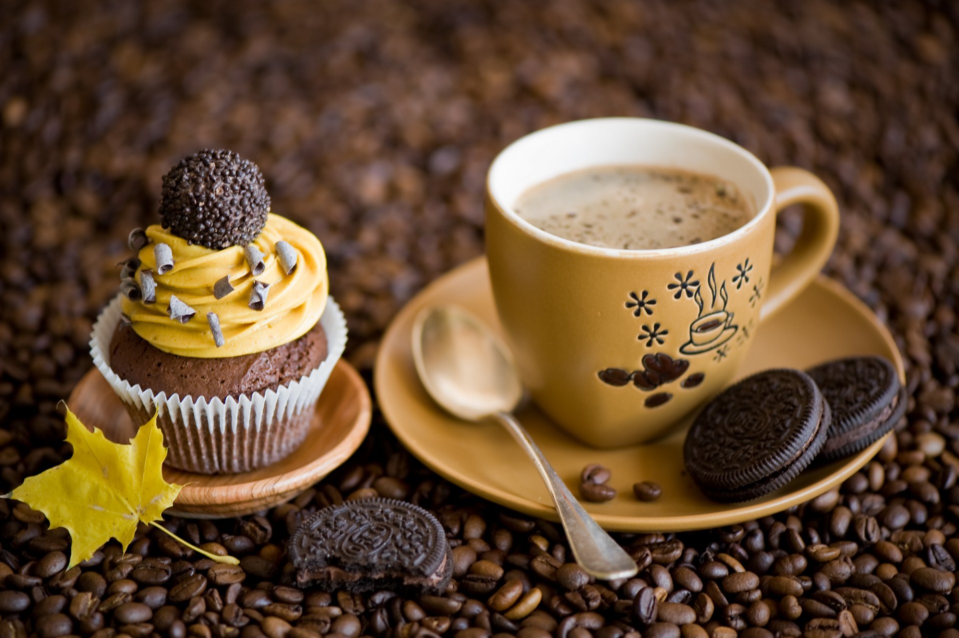 cupcake crème chocolat bonbons biscuits dessert café grain tasse soucoupe cuillère feuille jaune automne anna verdina