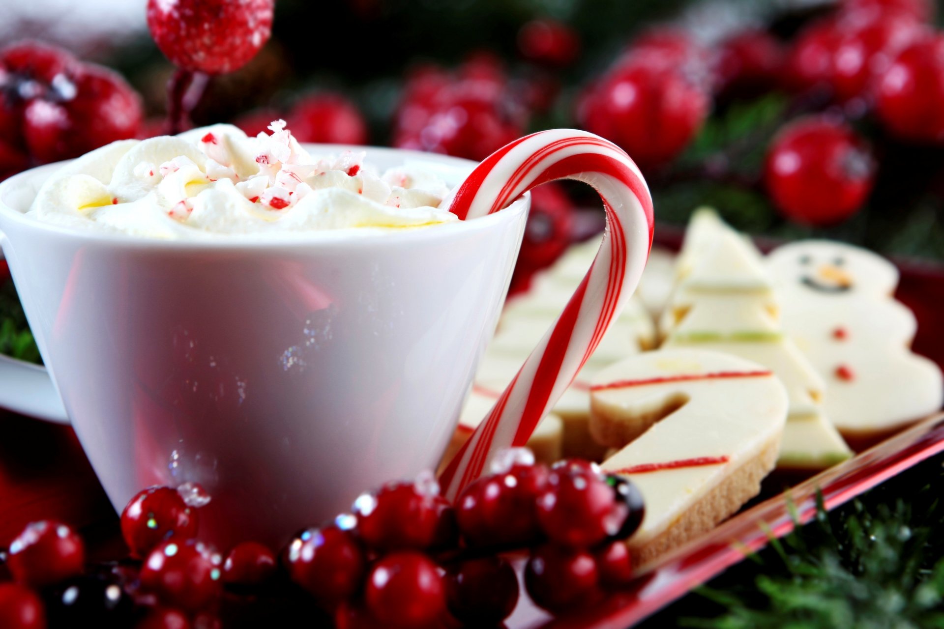 tasse boisson crème sucette bonbons canne baguette biscuits cuisson houx ostrolist vacances hiver nouvel an noël