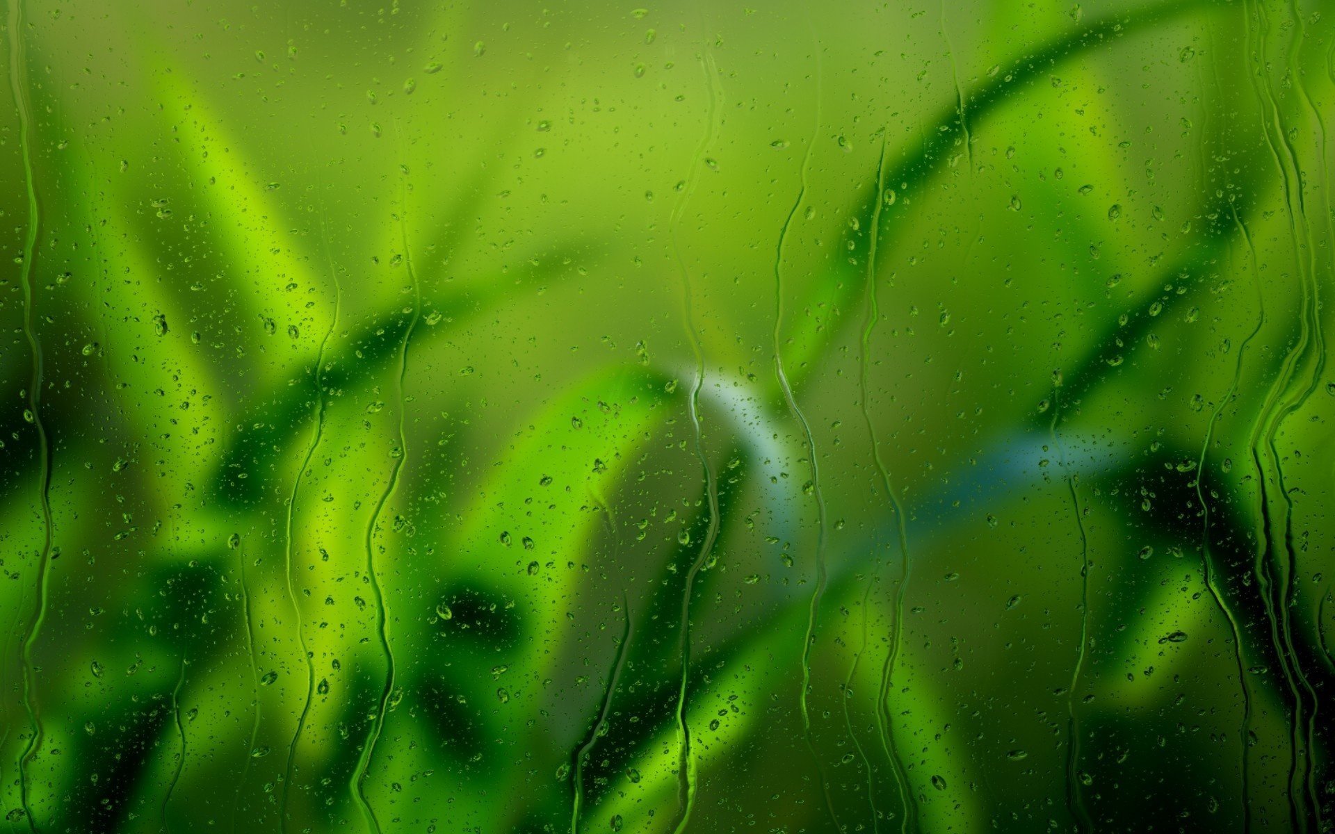 macro gotas vidrio hierba