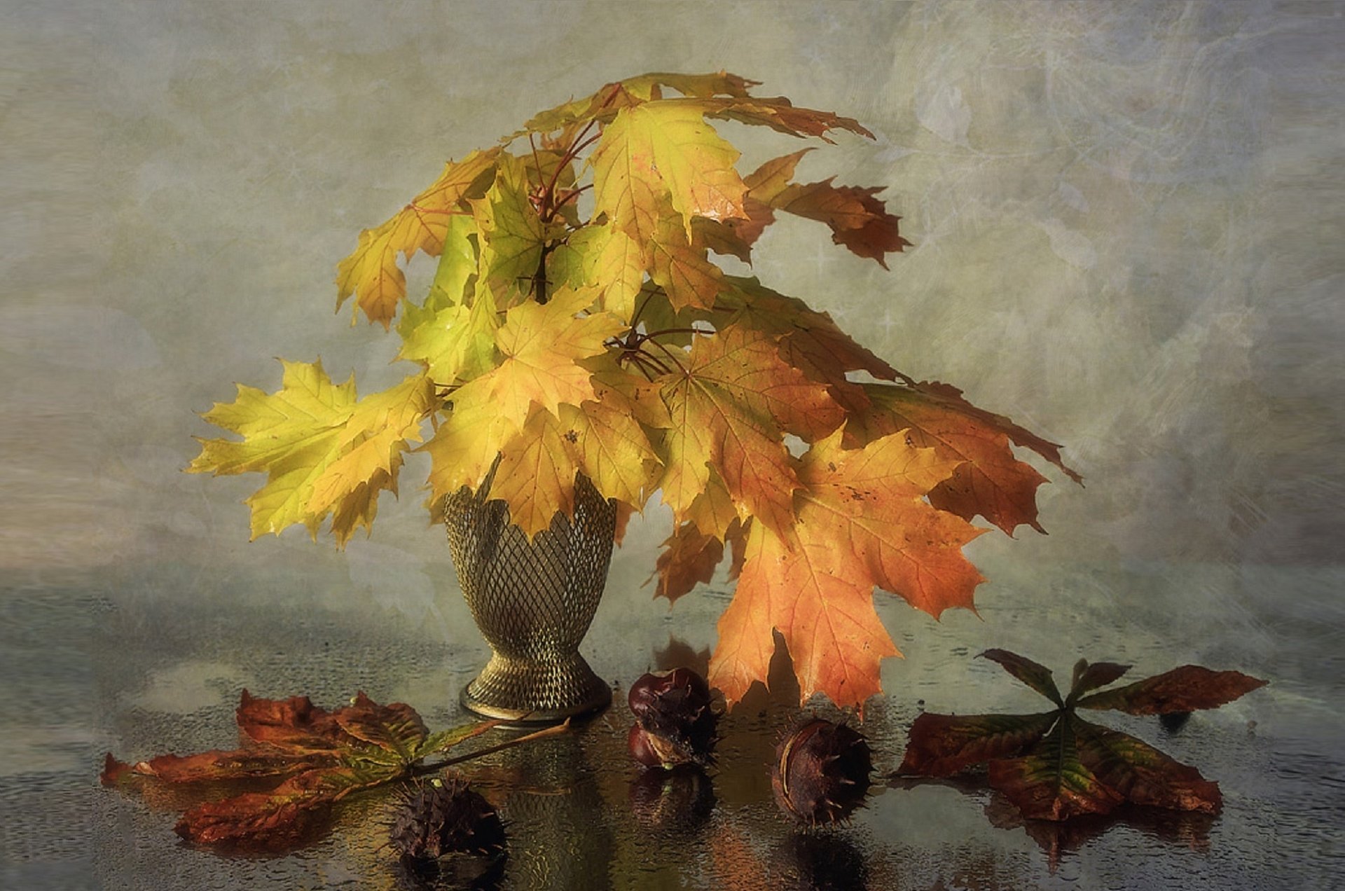 autumn light autumn leaves wet glass irina prikhodko still life chestnut