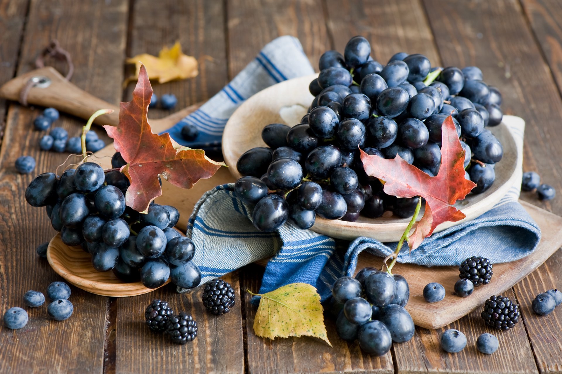 grapes red leaves autumn vintage berries blueberries blackberry still life anna verdina