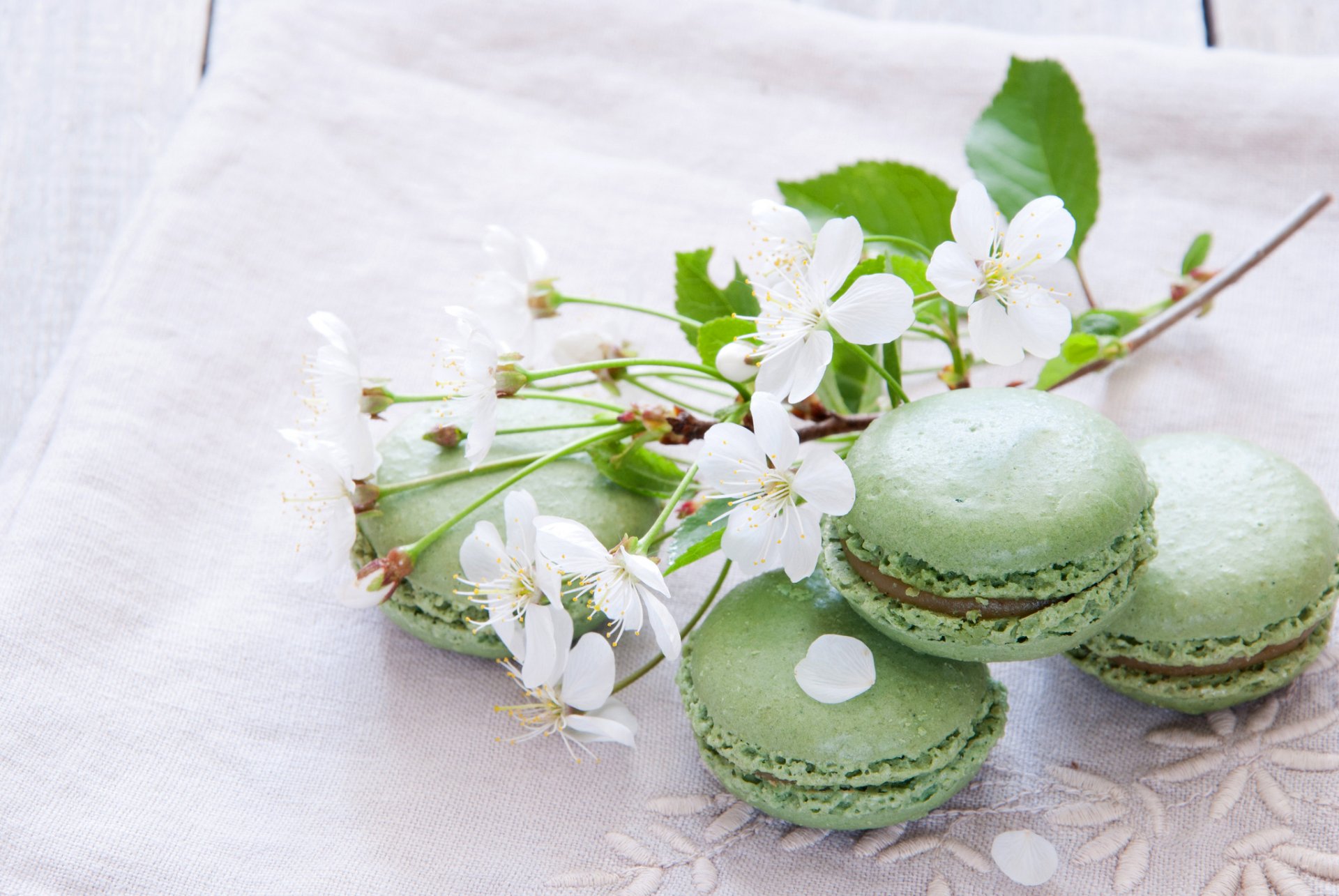 galletas macarrón macaron pistacho dulces postre rama floración