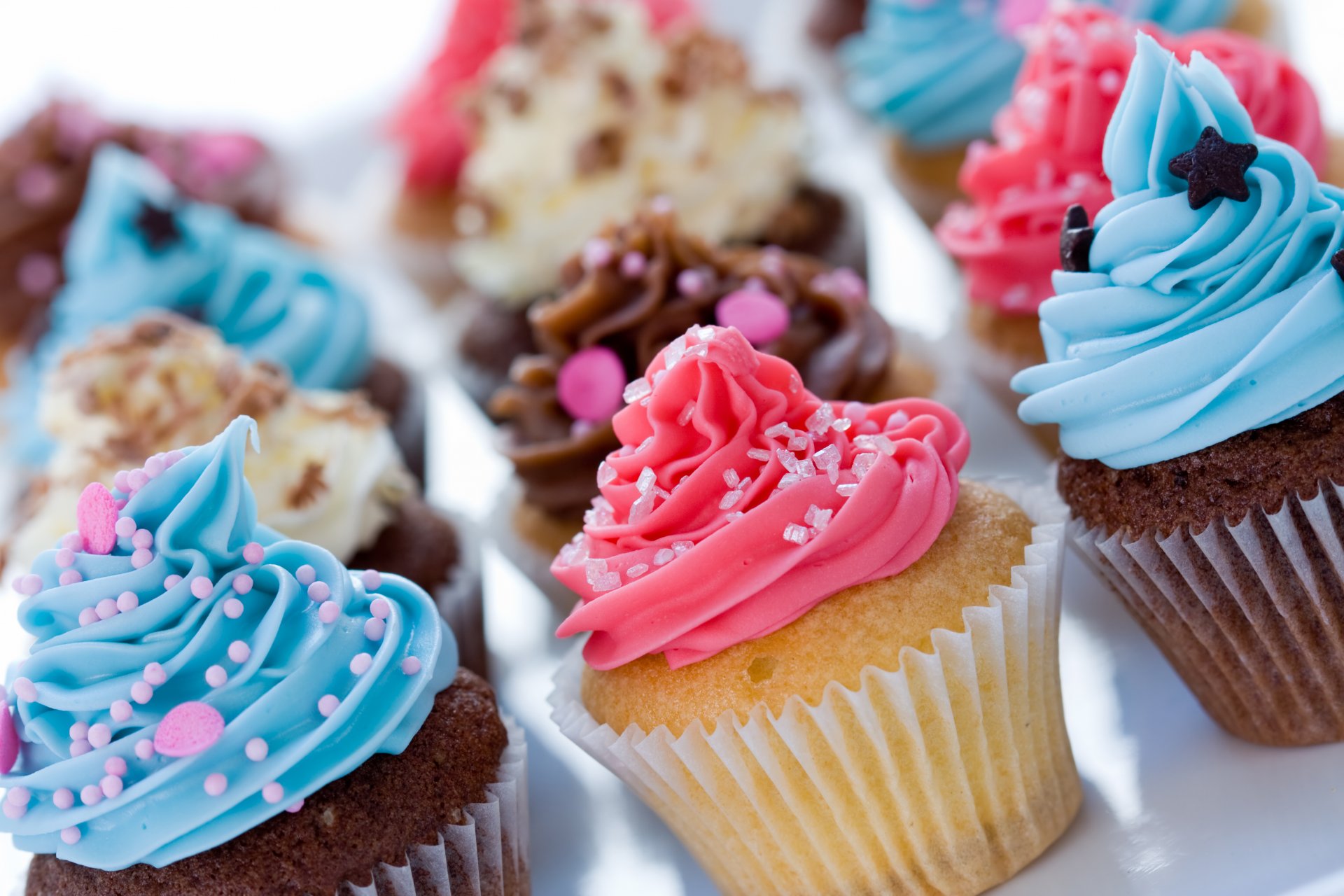 muffins crème chocolat décoration assortiment pâtisseries sucré dessert