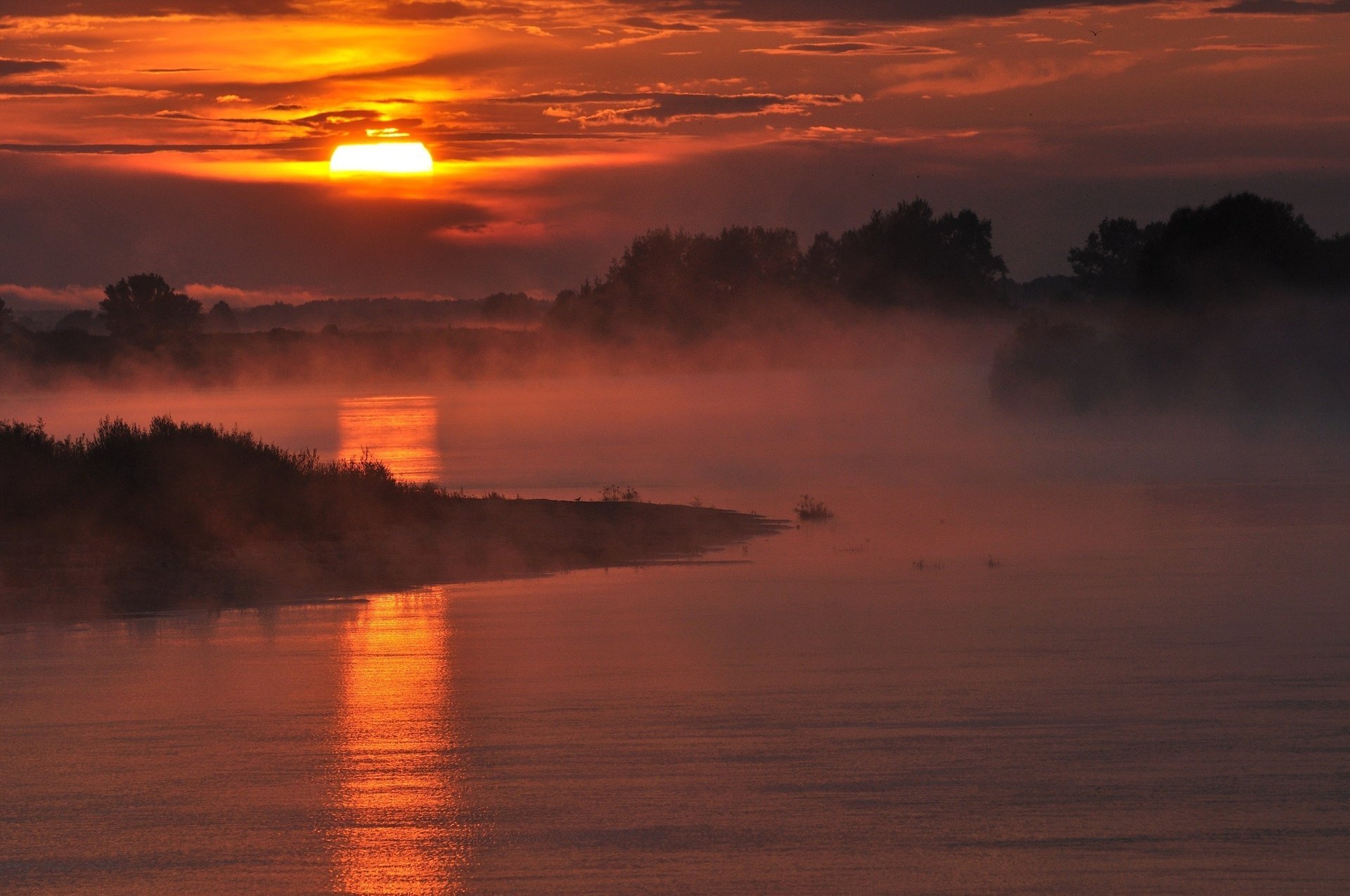 sole mattina nebbia fiume foresta natura nuvole