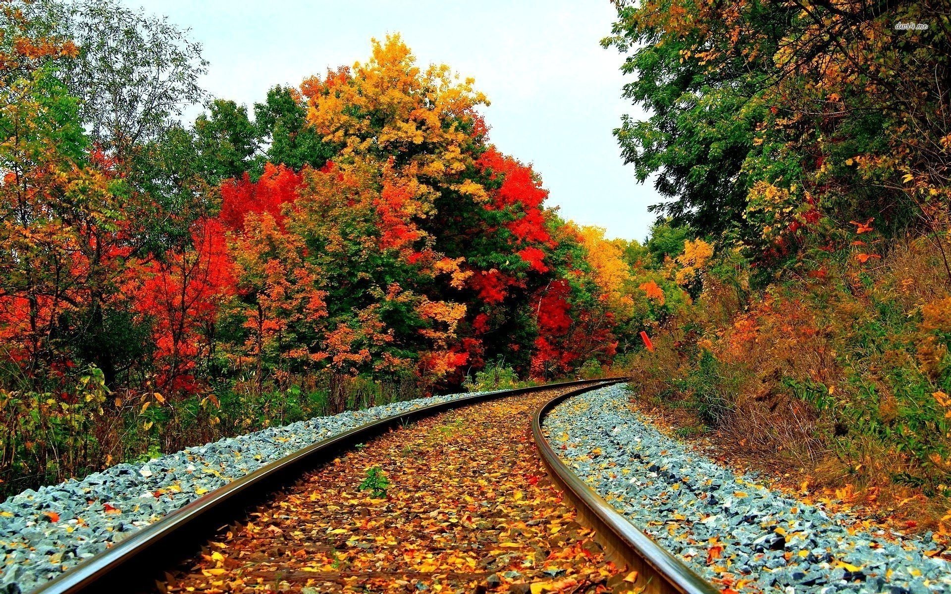 railroad forest autumn