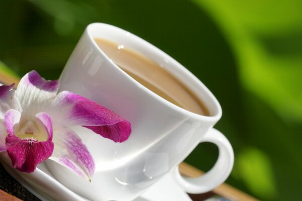 A cup of coffee on a saucer with a flower