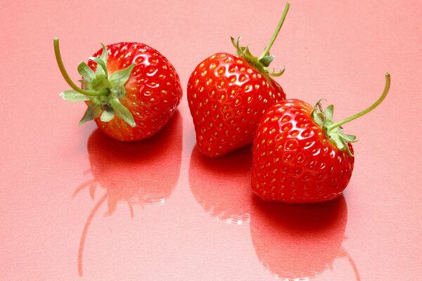 Süße Erdbeeren schmecken nach Sommer