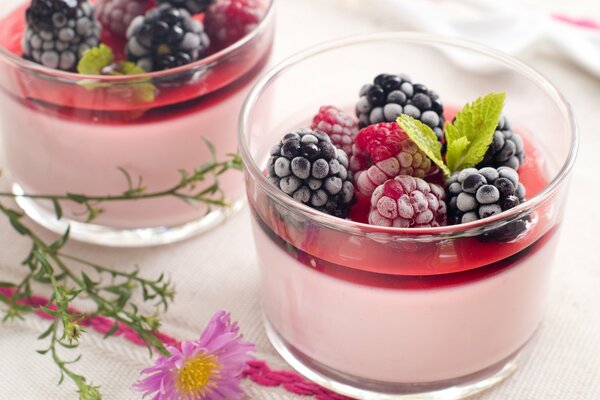 Dessert in einem Glas mit Heidelbeeren und Himbeeren