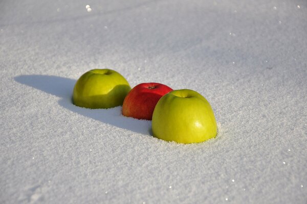 Pommes rouges et vertes sur la neige