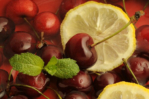 The composition of cherry and lemon is complemented by a mint leaf