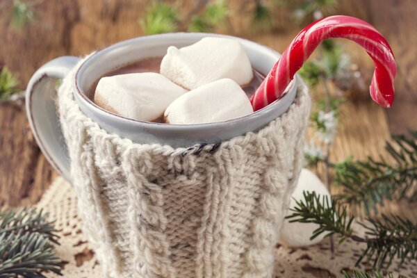 Cocoa with marshmallow is very tasty for Christmas