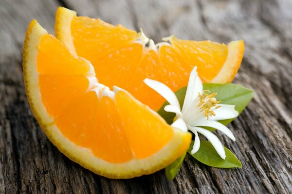 Tranches d orange avec fleur sur fond de revêtement en bois