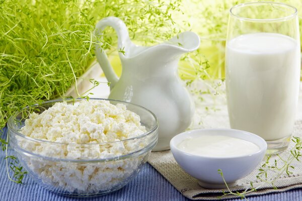 Gifts of a village cow. Summer breakfast