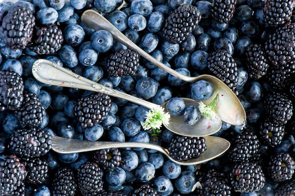 Blueberries and blueberries with teaspoons