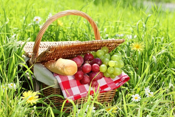 Picnic. Photo shoot ideas