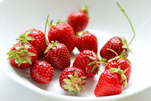 Fraises fraîches et délicieuses sur une assiette